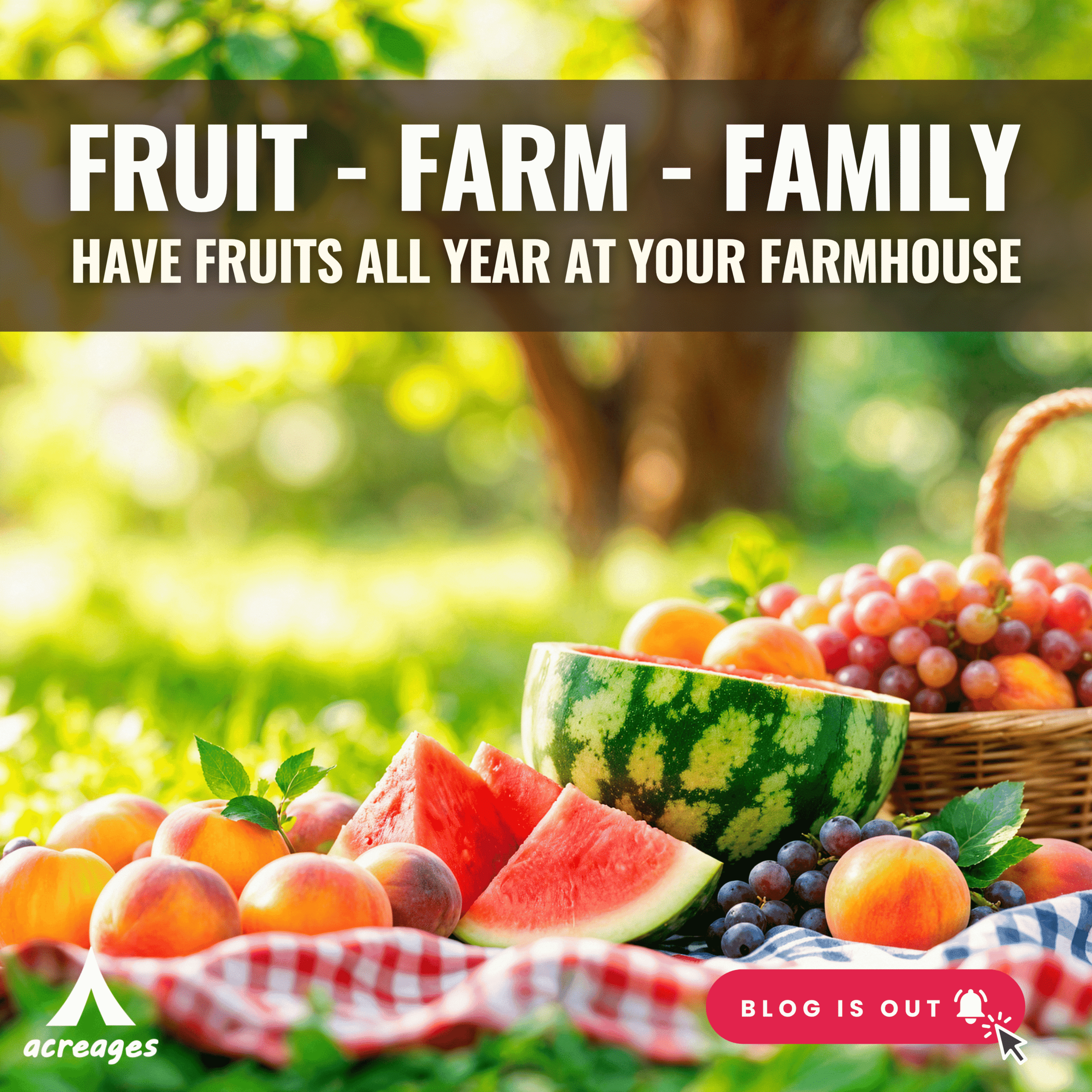 farmhouse near murbad