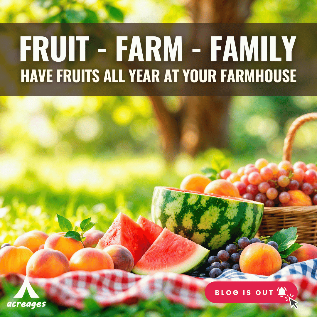 Have Fruits All Year at Your Farmhouse