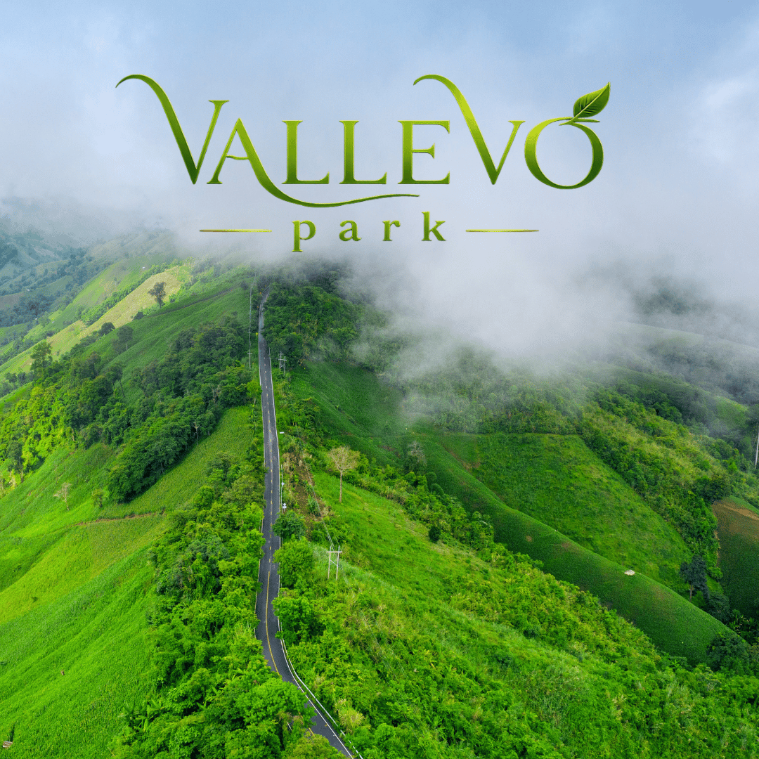 Vallevo Park Satara