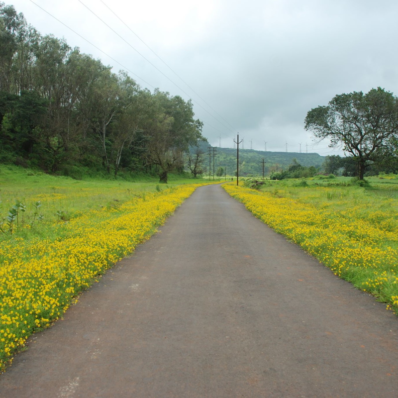 New Mahableshwar