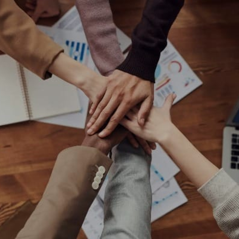 WhatsApp Image 2025-02-14 at 18.14.12_16b93cea